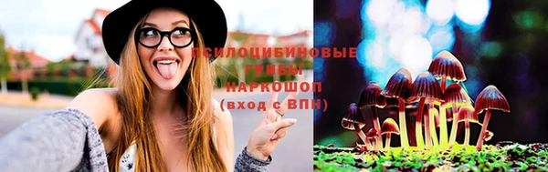 прущие крисы Абаза