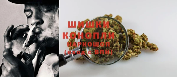 эйфоретик Пролетарск